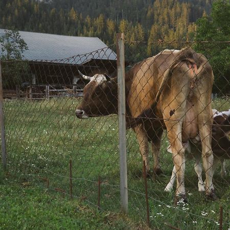 Landhaus Obervellach Hermagor-Pressegger See Eksteriør billede